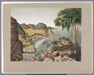 Südküste von Java, östlich von Rankop von Carl Wilhelm Mieling (possibly)