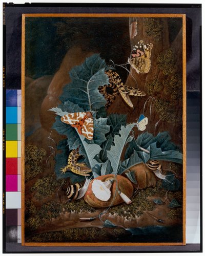 Stillleben auf dem Waldboden mit Schnecken, Schlangen, Eidechsen und Schmetterlingen von Carl Wilhelm de Hamilton
