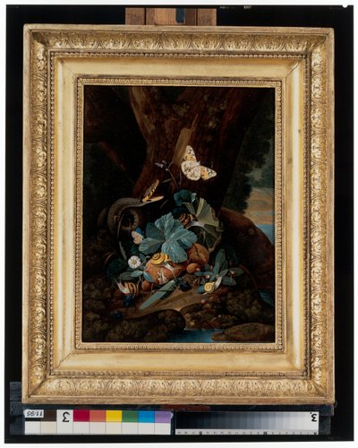 Waldboden-Stillleben mit Schnecken, Schlangen, Eidechsen und Schmetterlingen von Carl Wilhelm de Hamilton