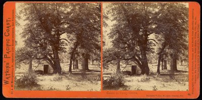 Hütte im Camp Grove, Yosemite Valley, Mariposa County, Kalifornien von Carleton Watkins