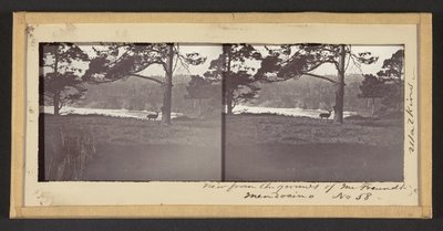 Blick vom Grundstück von Herrn Freundt, Mendocino von Carleton Watkins