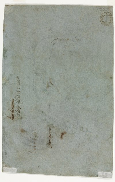 Skizze eines Kinderkopfes, ca. 1586 von Carletto Caliari