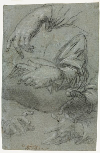 Studien von Händen recto, Skizze eines Kinderkopfes verso, ca. 1586 von Carletto Caliari