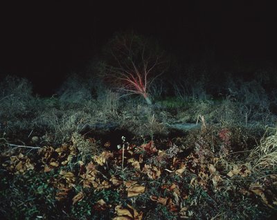 Malen im Dunkeln, 2011 von Carli Choi