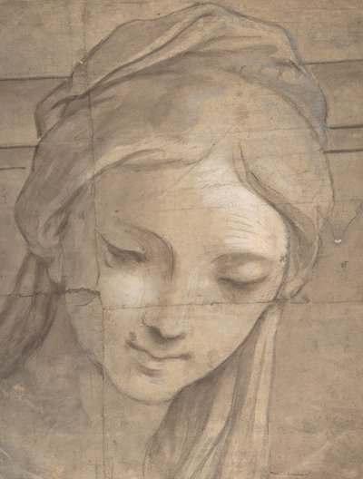 Kopf einer jungen Frau in Dreiviertelansicht nach links, 1670-1700 von Carlo Cignani