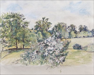 August aus unserem Fenster von Caroline Hervey Bathurst