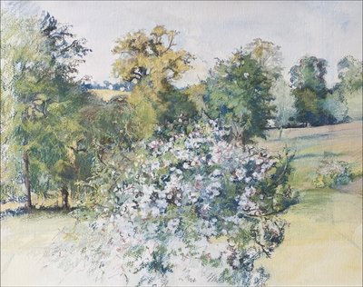 Juni aus unserem Fenster von Caroline Hervey Bathurst