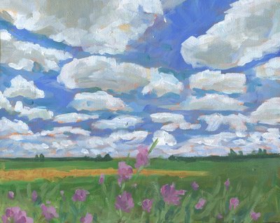 Sommerhimmel über Wildblumen von Carrie Arnold