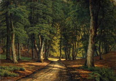 Eine bewaldete Landschaft mit Hirschen von Carsten Henrichsen