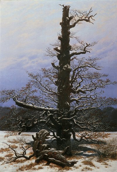 Eiche im Schnee von Caspar David Friedrich