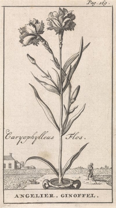 Titelblatt und acht Drucke mit Blumen von Caspar Luyken