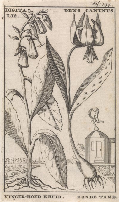Titelblatt und acht Drucke mit Blumen von Caspar Luyken