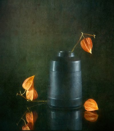 Herbstlaternen und Vase von Catherine Wang