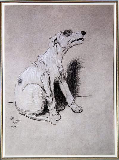 5:15 Aufgewacht durch einen schlimmen Ekzem-Anfall, Illustration aus A Dog Day von Walter Emanuel von Cecil Charles Windsor Aldin
