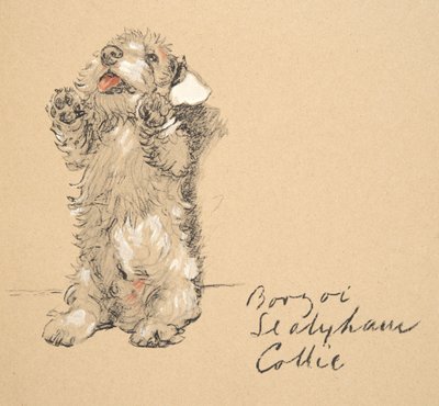 Sealyham, 1930, Illustrationen aus seinem Skizzenbuch verwendet für Just Among Friends, später veröffentlicht von Eyre und Spottiswoode Limited, 1934 von Cecil Charles Windsor Aldin