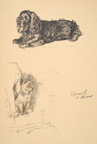 Spaniel und Chow, 1930, Illustrationen aus seinem Skizzenbuch verwendet für Just Among Friends, Aldin, Cecil Charles Windsor (1870-1935), später veröffentlicht von Eyre und Spottiswoode Limited, 1934 von Cecil Charles Windsor Aldin