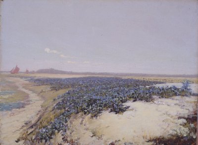 Blumenbedeckte Dünen von Charles Augustus Lasar