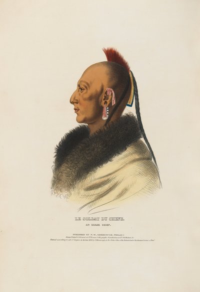  von Charles Balthazar Julien Févret de Saint-Mémin