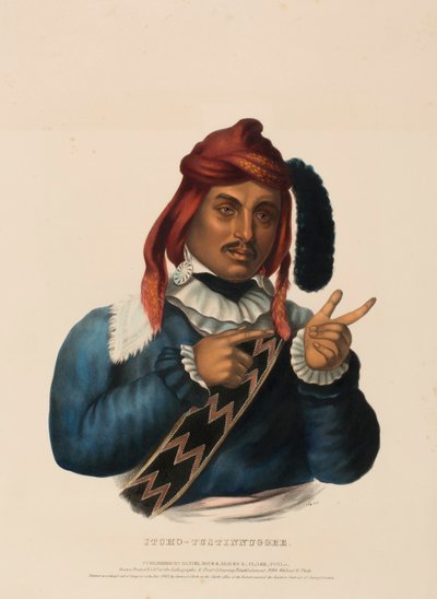 ITCHO-TUSTINNUGGEE, aus Geschichte der Indianerstämme Nordamerikas von Charles Bird King