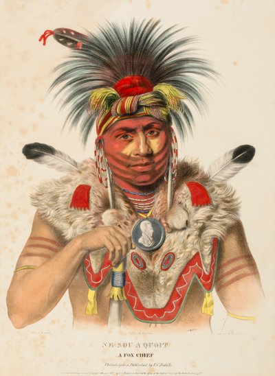 NE-SOU-A-QUOIT. Ein Fuchs-Häuptling, aus Geschichte der Indianerstämme Nordamerikas von Charles Bird King