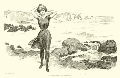 Illustration für Die Gesellschaftsleiter von Charles Dana Gibson