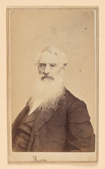 Samuel F. B. Morse von Charles DeForest Fredricks