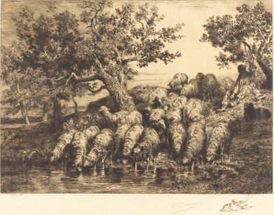Schafe am Wasserplatz von Charles Emile Jacque