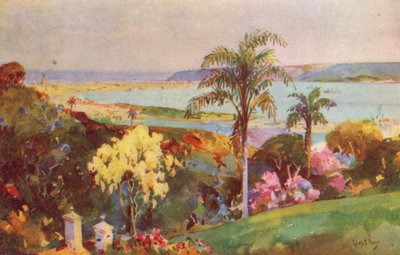 Der Hafen von Natal, Durban von Charles Ernest Peers
