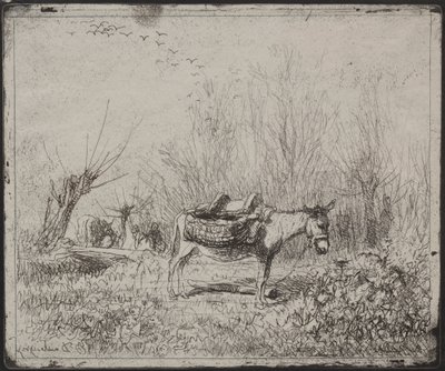 Ein Esel auf dem Feld, Originaldruck 1862, gedruckt 1921 von Charles Francois Daubigny
