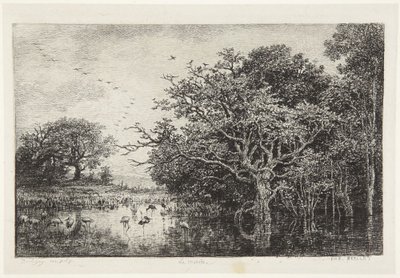 Das Storchenmoor von Charles Francois Daubigny