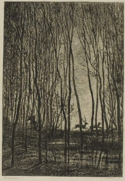 Hirsche im Wald von Charles Francois Daubigny