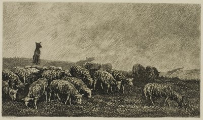 Die Wache des Hundes von Charles Francois Daubigny