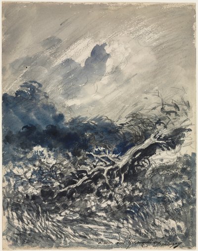 Die Eiche und das Schilfrohr, ca. 1873 (blaue und schwarze Waschung) von Charles Francois Daubigny