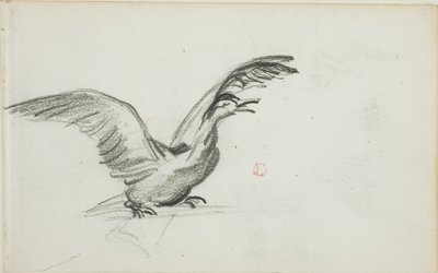 Wildes Duett (recto); Zwei stehende nackte weibliche Figuren in Nischen (verso) von Charles Francois Daubigny