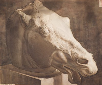 Studie - Pferdekopf vom Parthenon von Charles Gustav Louis Phillips
