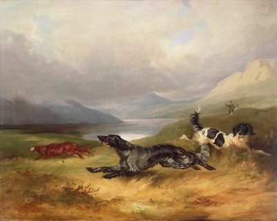 Auf der Fährte von Charles Henry Schwanfelder
