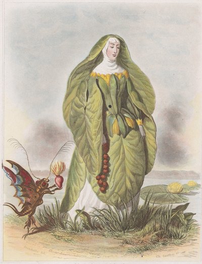 Seerose, aus Les Fleurs Animées, 1847 von Charles Michel Geoffroy