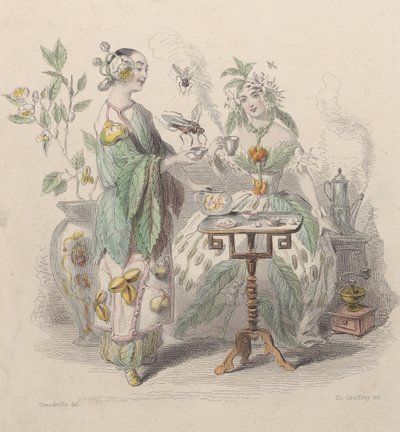 Tee & Kaffee, aus Les Fleurs Animées, 1847 von Charles Michel Geoffroy