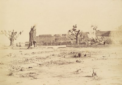 [Karge Landschaft mit einer unbekannten Festung, Delhi] von Charles Moravia