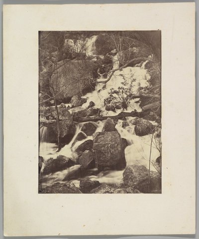 [Bäume und Wasserfälle] von Charles Nègre