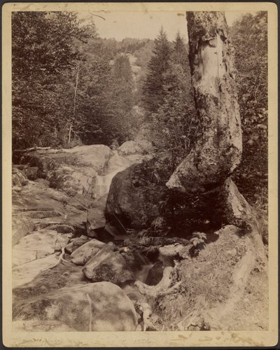 [Wasserfall] von Charles P. Hibbard