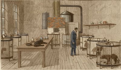 Hunde in Käfigen im Labor von Louis Pasteur von Charles Paul Renouard