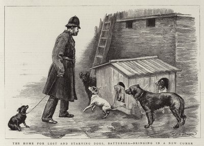 Das Heim für verlorene und hungernde Hunde, Battersea, bringt einen Neuling herein von Charles Paul Renouard
