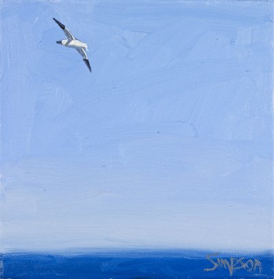 Basstölpel, 2010 von Charles Simpson