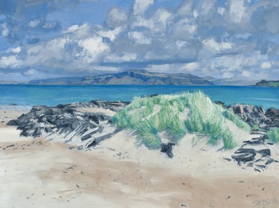 Felsen & Gräser, Iona, 2013 von Charles Simpson