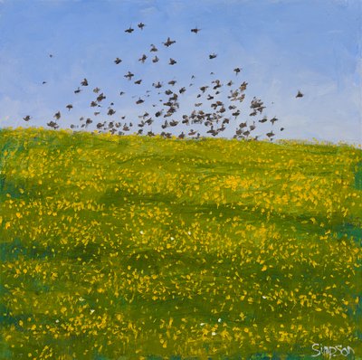 Stare & Butterblumen, Iona, 2015 von Charles Simpson
