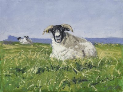 Westküsten-Schafe, 2017 von Charles Simpson