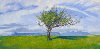 Westküstenbaum, 2015 von Charles Simpson