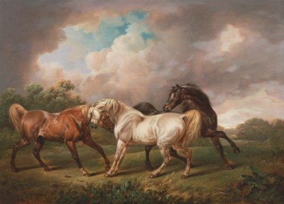 Drei Pferde in einer stürmischen Landschaft von Charles Towne