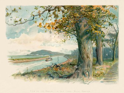 Blick auf den Manchester-Schiffskanal - Mount Manisty von Charles Wilkinson